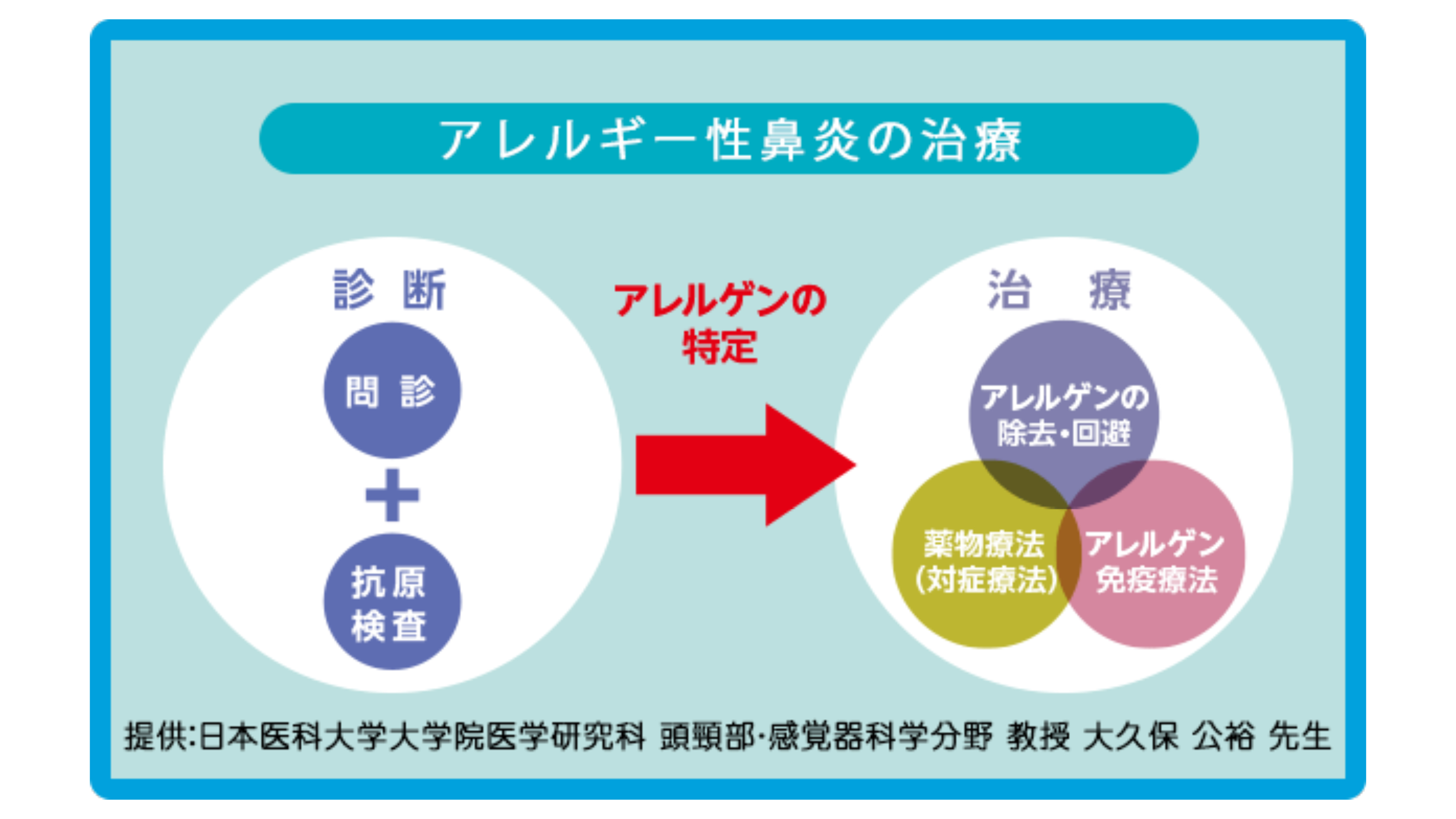 アレルギーの根治を目指して