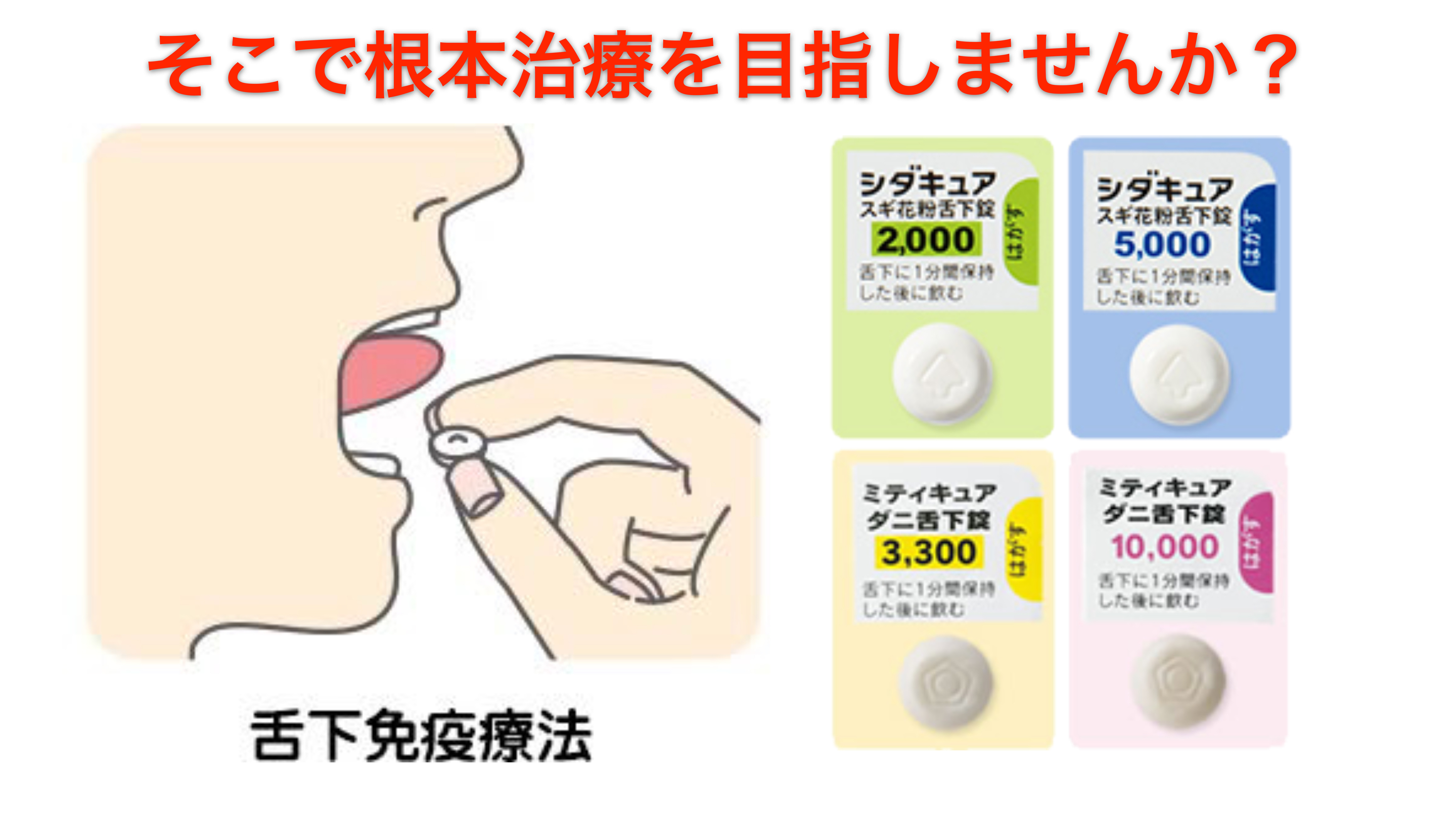アレルギーの根治を目指して