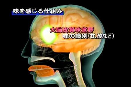 味覚障害