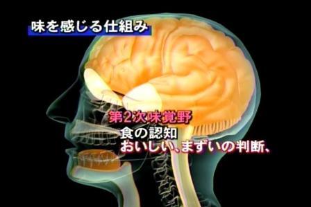 味覚障害