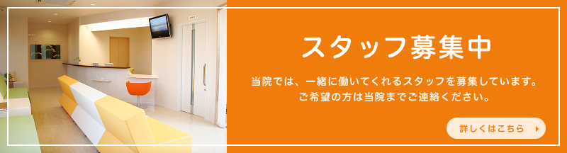 スタッフ募集中
